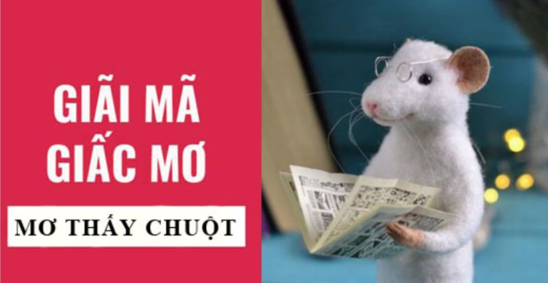 Cổng game Nhatvip là cái tên được nhiều anh em yêu thích