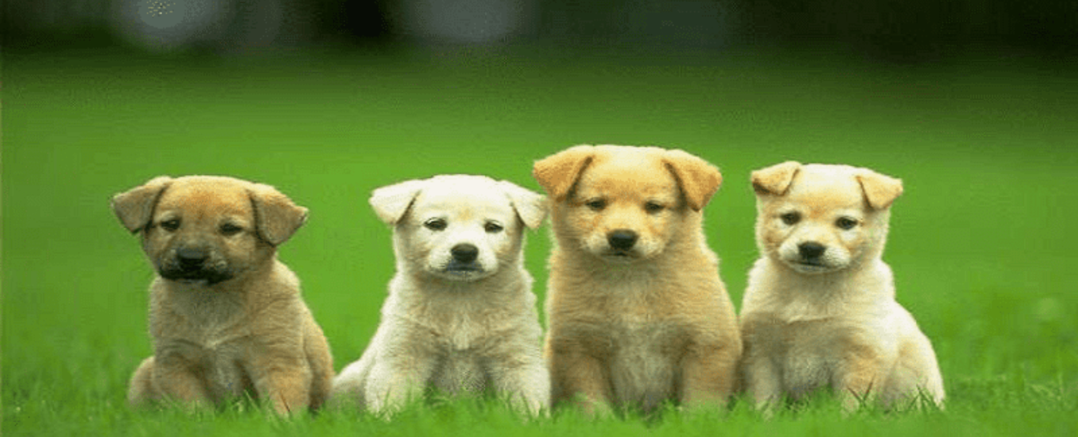 Tham gia Nhatvip ngay để trải nghiệm những con số thú vị