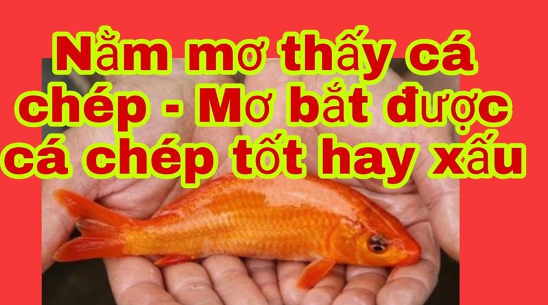 Mỗi giấc mơ đều mang một ý nghĩa khác nhau