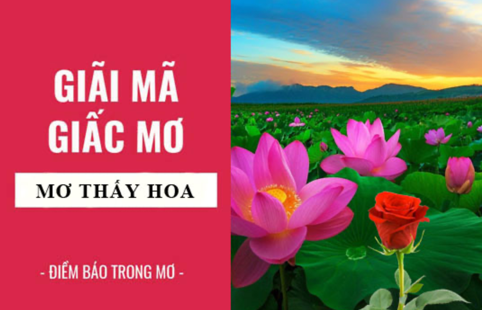 Chiêm bao thấy hoa và con số nên đánh tại cổng game Nhatvip