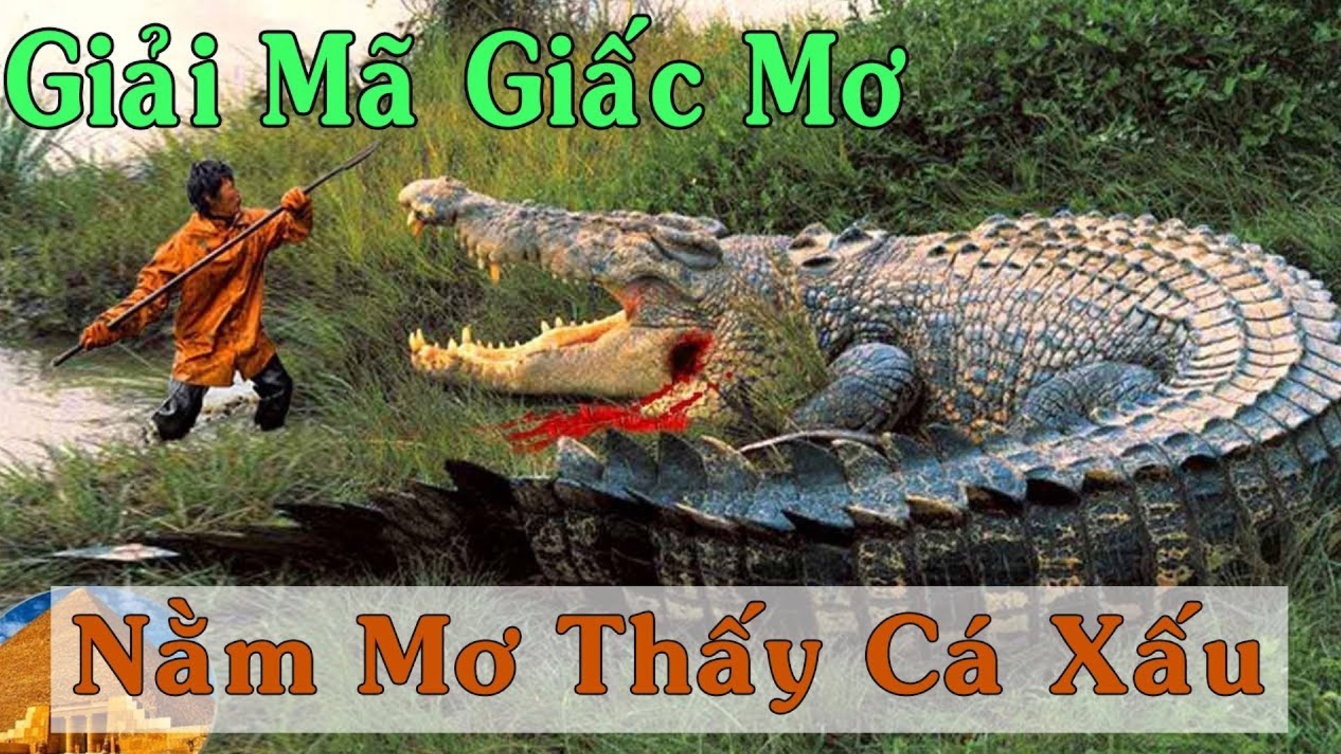 Mỗi giấc mơ đều mang một ý nghĩa khác nhau