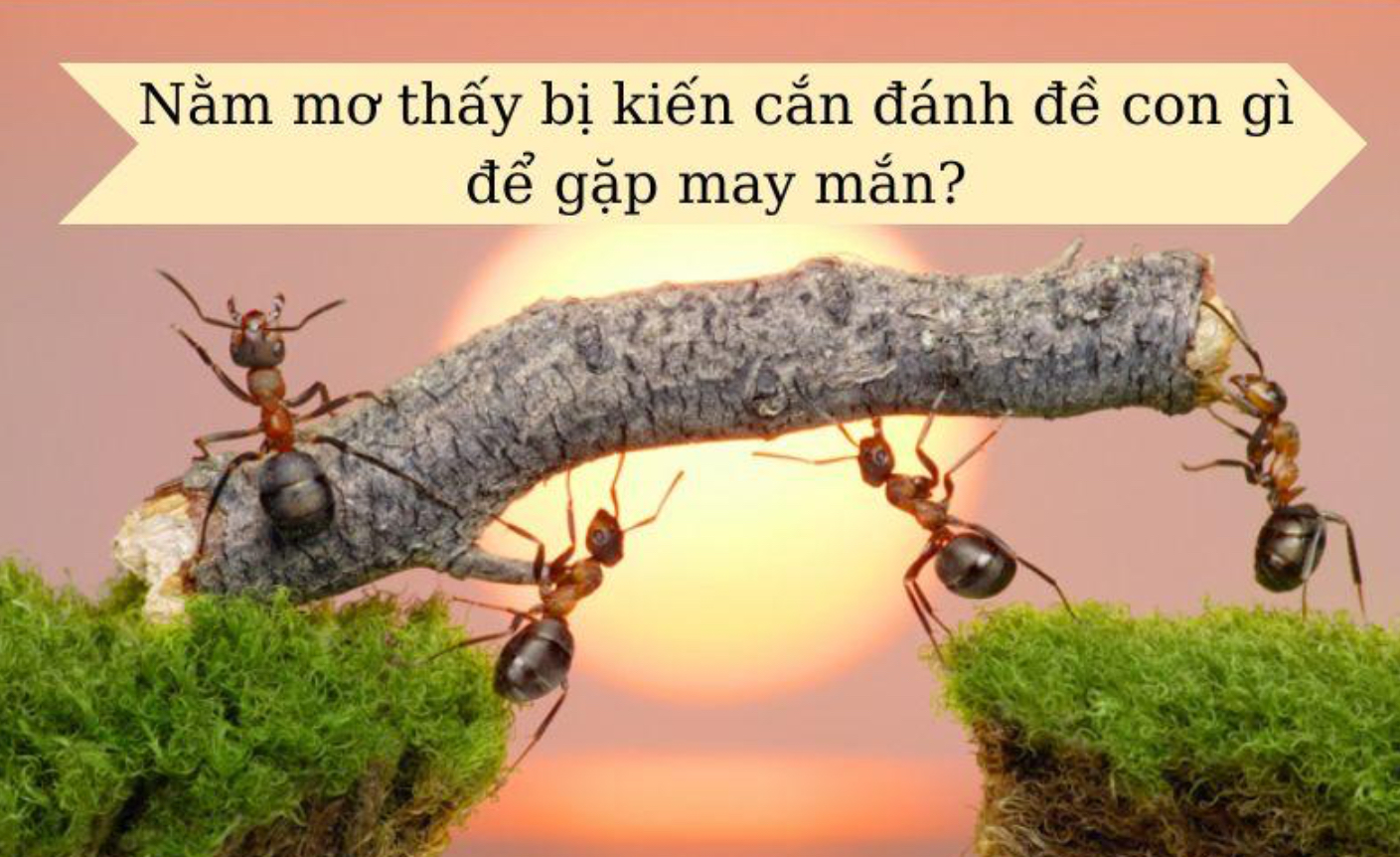 Nhatvip là cổng game được yêu thích nhiều
