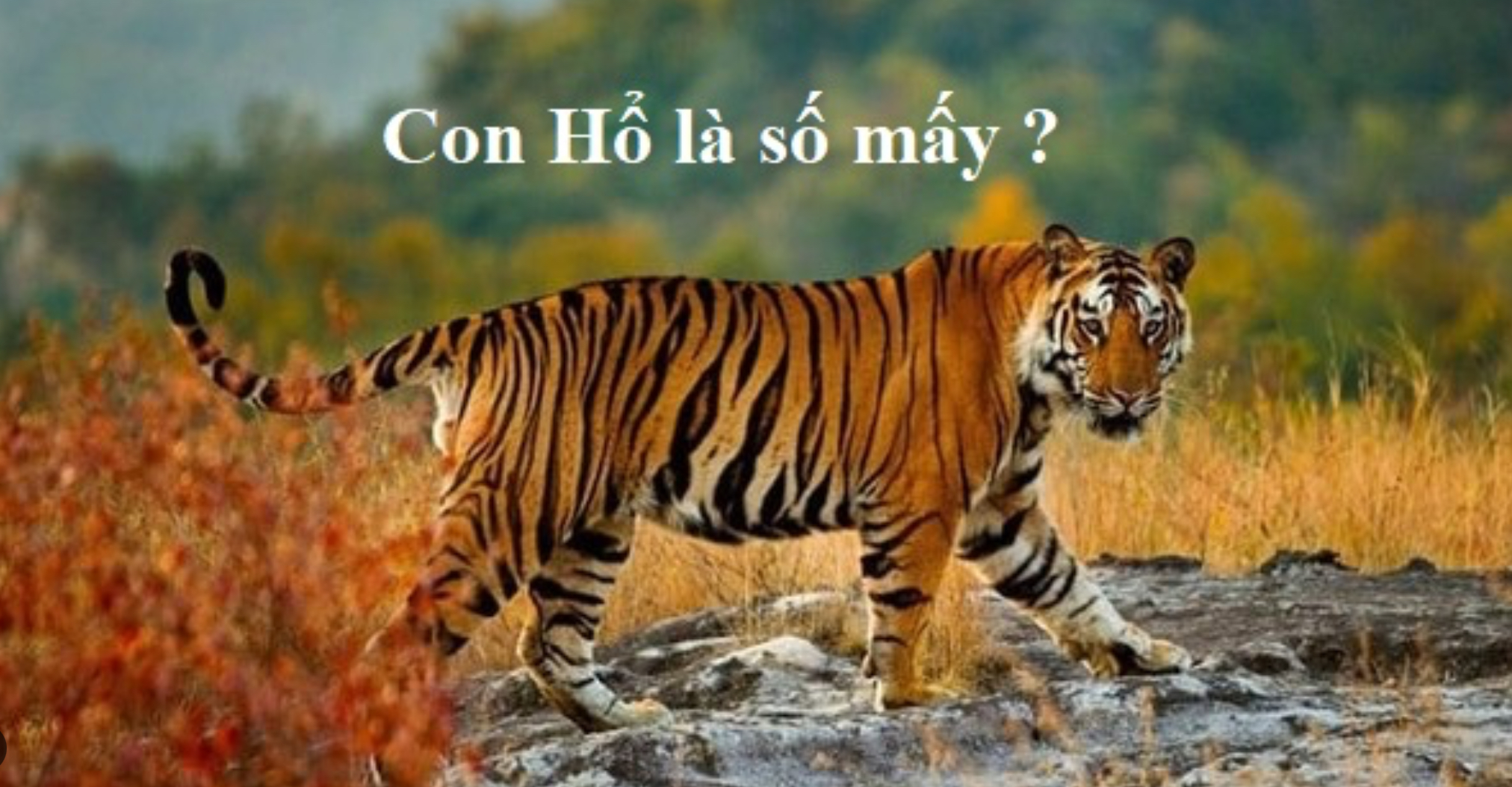 Tham gia Nhatvip ngay để nhận nhiều ưu đãi