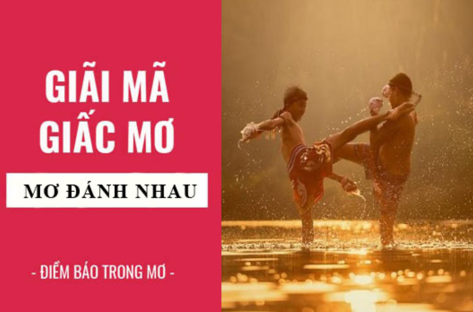 Nhatvip giải mã giấc mơ đánh nhau và con số hay nhất