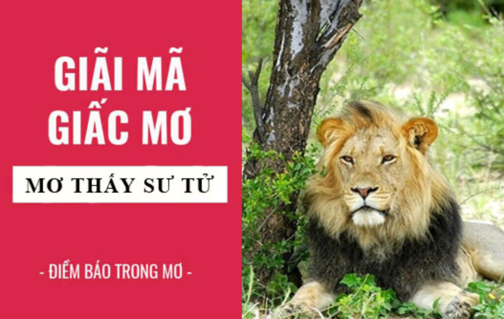 Khi mơ thấy sư tử cho thấy công việc và sự nghiệp của bạn đang được phát triển rất tốt