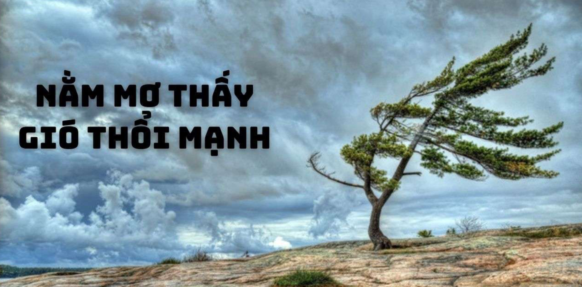 Mỗi giấc mơ đều mang ý nghĩa khác nhau