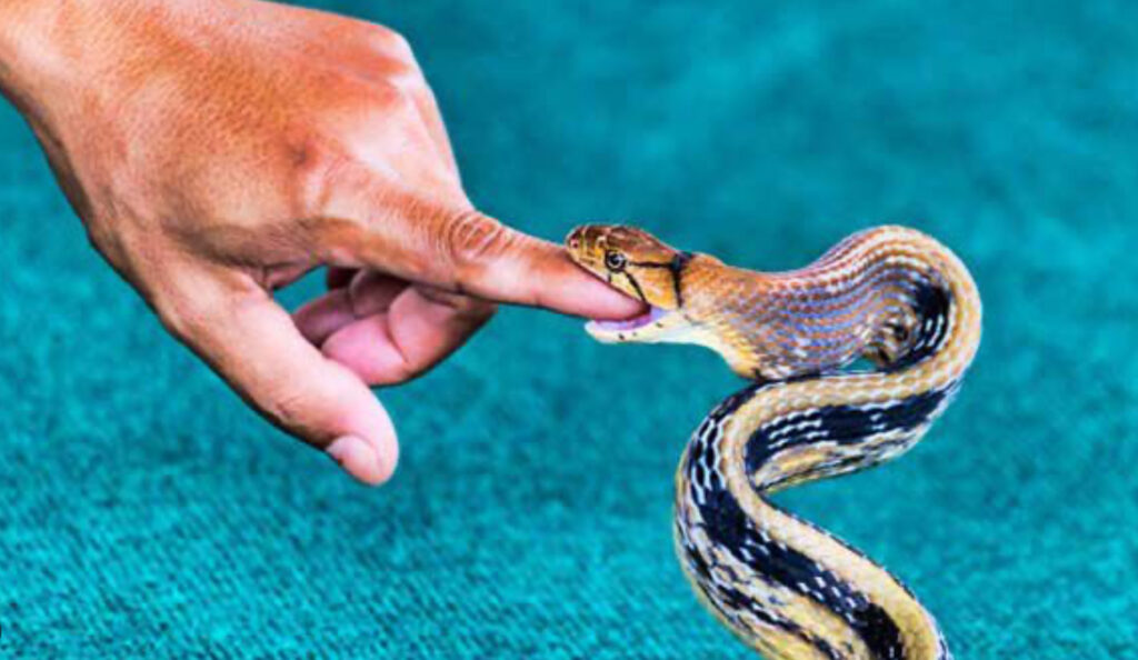Mỗi giấc mơ đều mang đến một ý nghĩa và điềm báo khác nhau