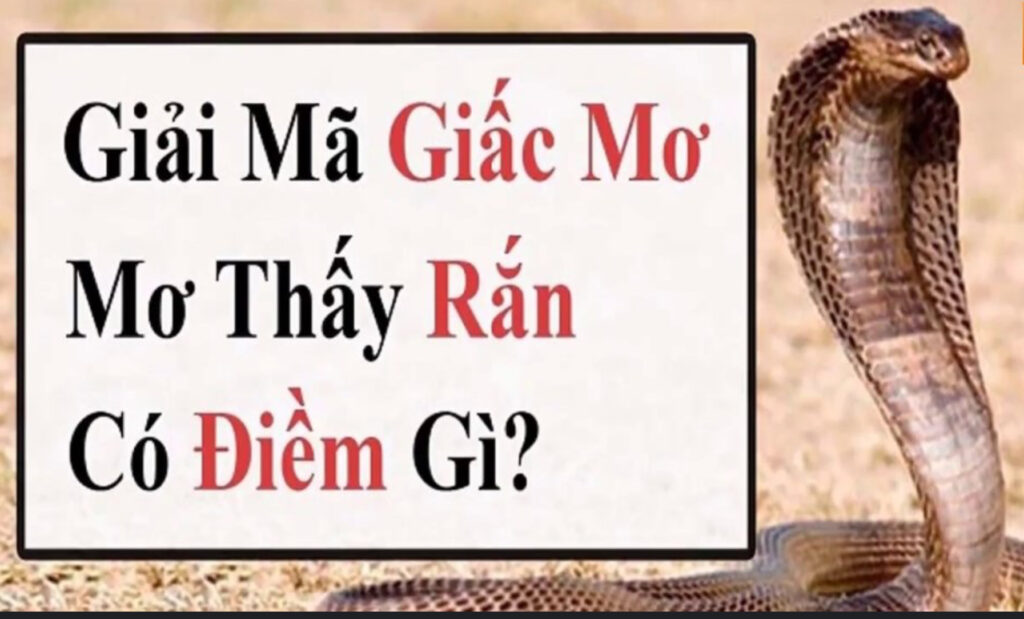 Nhatvip sẽ gợi ý đến anh em những con số may mắn khi mơ thấy rắn hổ mang