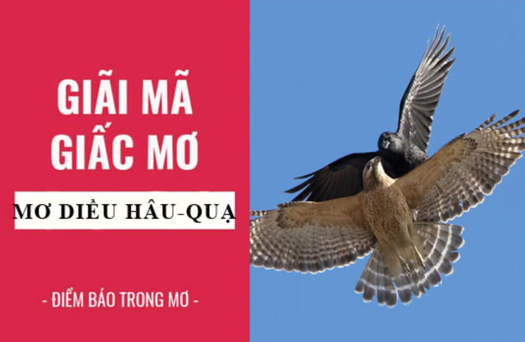 Giấc mơ thấy diều hâu được nhiều người thắc mắc ý nghĩa