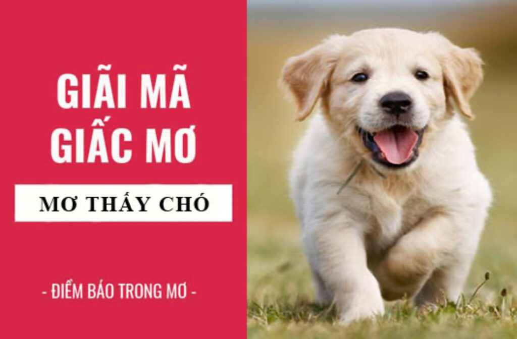 Giấc mơ  thấy chó mang ý nghĩa may mắn
