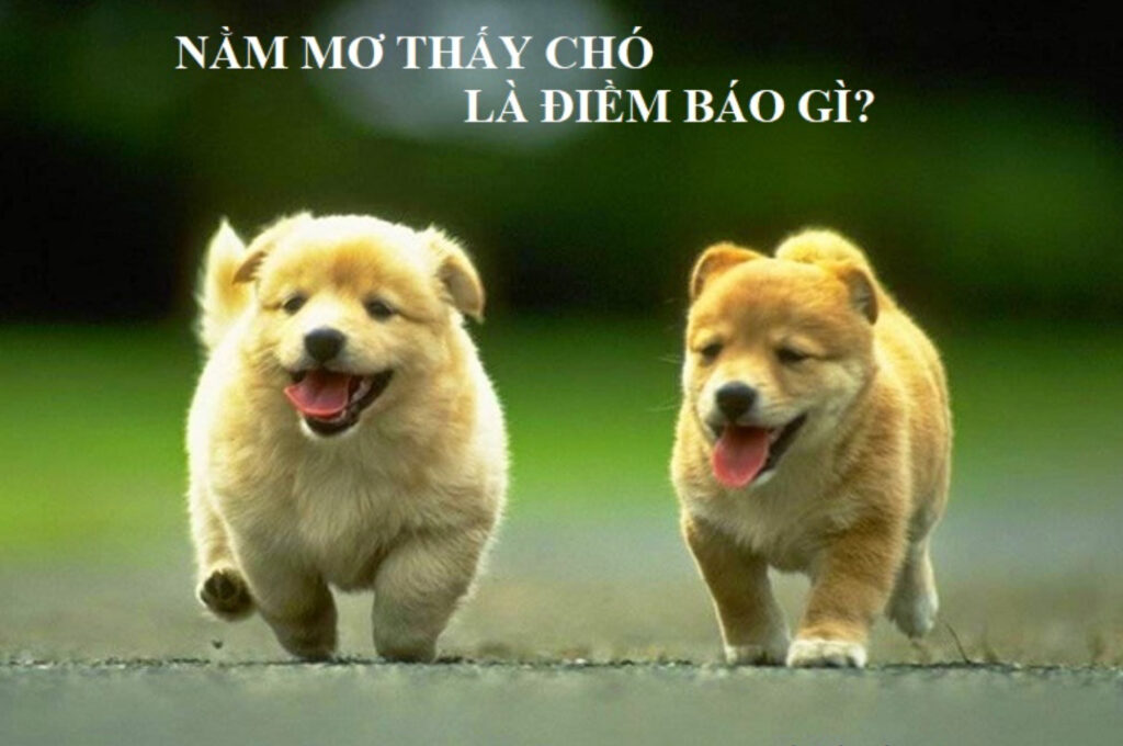 Mỗi giấc mơ đều mang ý nghĩa khác nhau