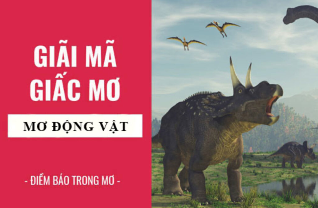 Mơ thấy động vật mang nhiều ý nghĩa