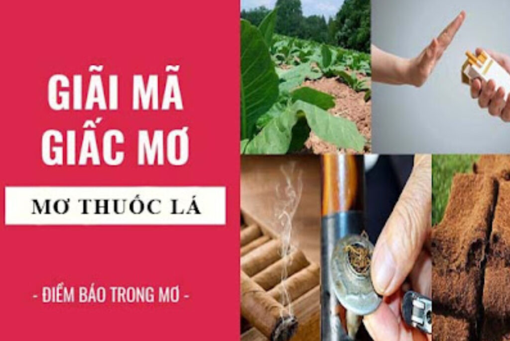 Mơ thấy thuốc lá có nhiều ý nghĩa