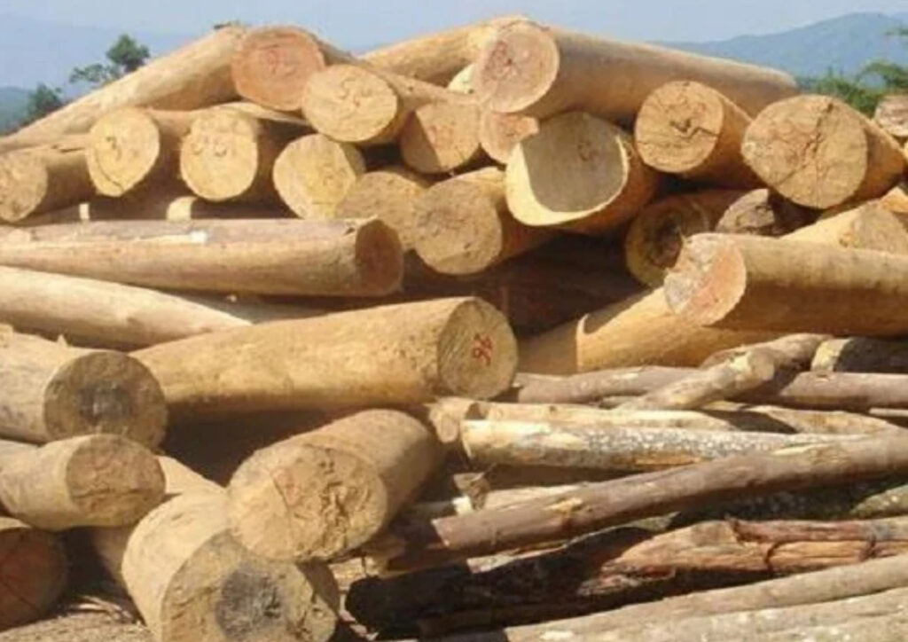 Mơ thấy gỗ mang nhiều ý nghĩa