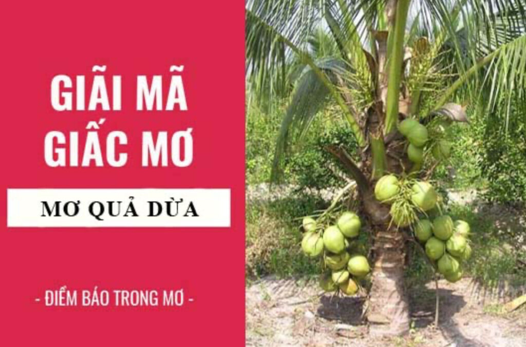Mơ thấy quả dừa mang nhiều ý nghĩa