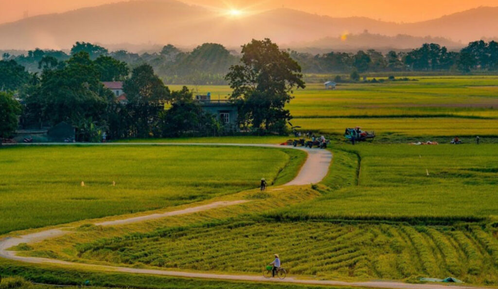 Những con số nên đánh