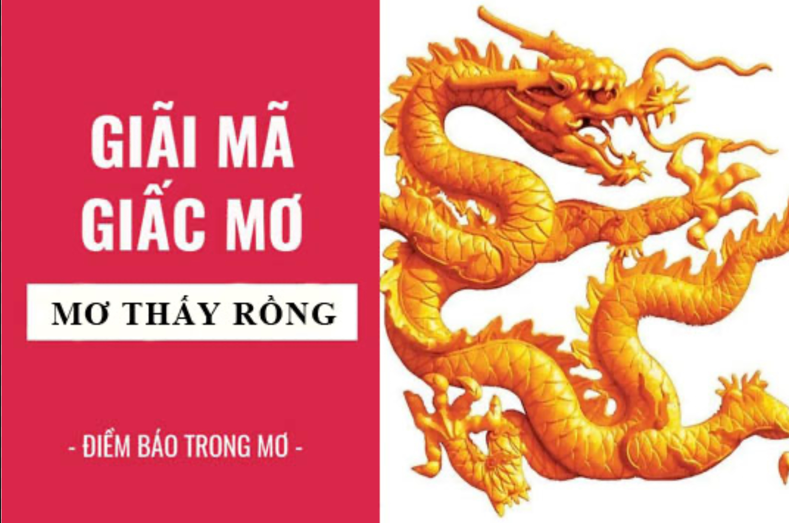 Ý nghĩa về giấc mơ thấy rồng và những con số nên đánh Nhatvip